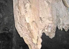 غار شیر آباد، زیستگاه سمندر غارزی گرگانی