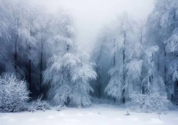 چشمه لاله گلستان