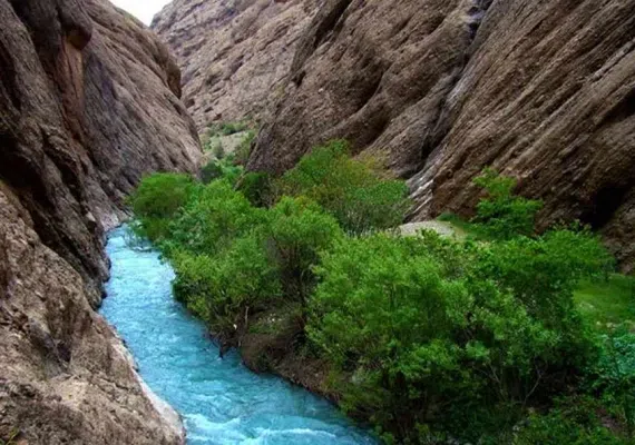 دره نی گاه لرستان، دره ای در زاگرس