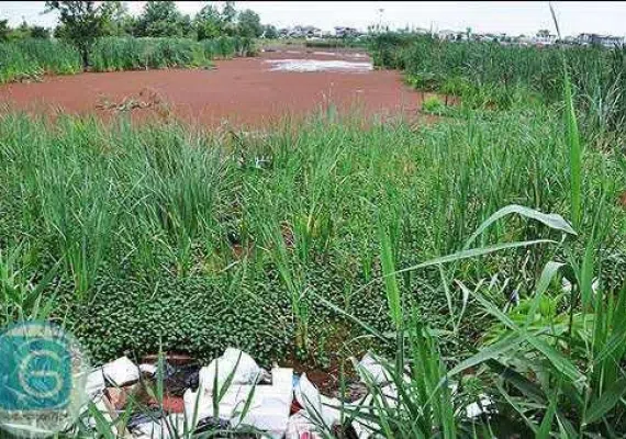 تالاب کیاکلایه لنگرود