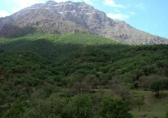 دره نی گاه لرستان، دره ای در زاگرس