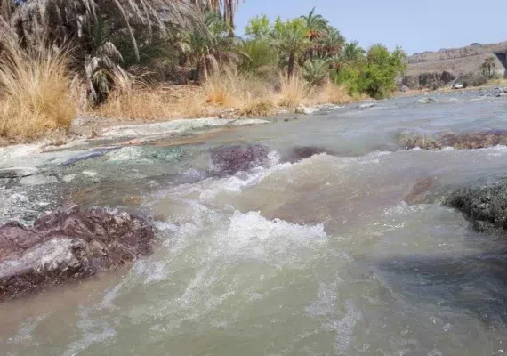 روستای تخت ملک نیک شهر