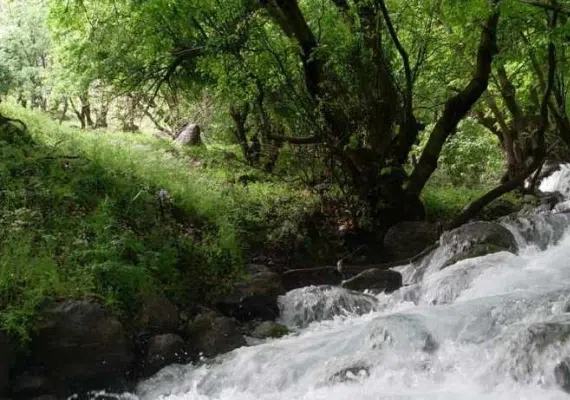 دره نی گاه لرستان، دره ای در زاگرس