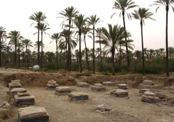 کاخ بردک سیاه، کاخ داریوش اول