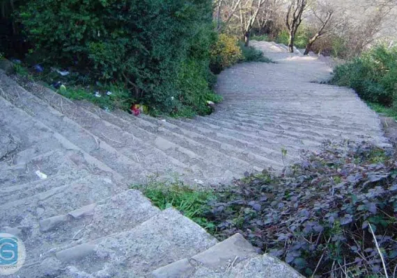 بام سبز لاهیجان