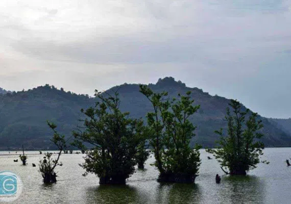 تالاب استیل