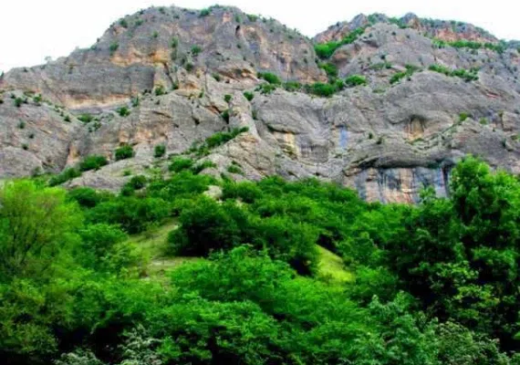 پارک ملی گلستان، بزرگترین پارک ایران، زیستگاه آهو، یوزپلنگ و خرس