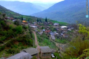 جنگل افراتخته علی آبادکتول