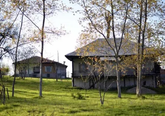 جنگل افراتخته علی آبادکتول