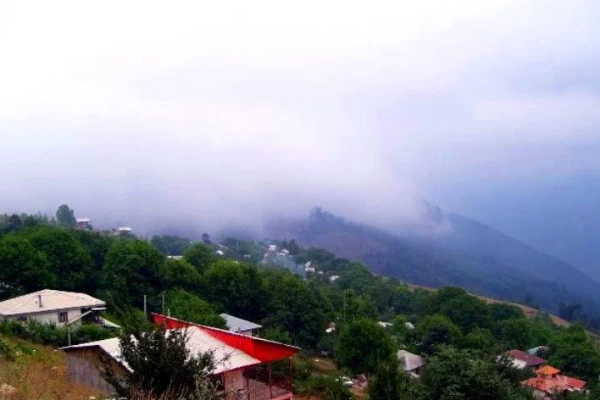 جنگل افراتخته علی آبادکتول