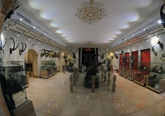 موزه تاریخ طبیعی دارآباد