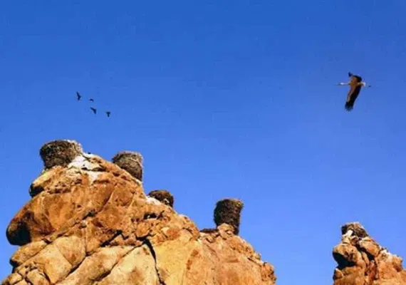 قلعه لک لک ها، شگفتی از طبیعت