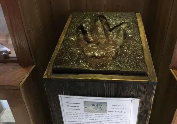 موزه تاریخ طبیعی دارآباد