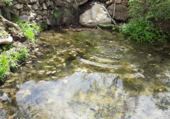 روستای الماس شبستر