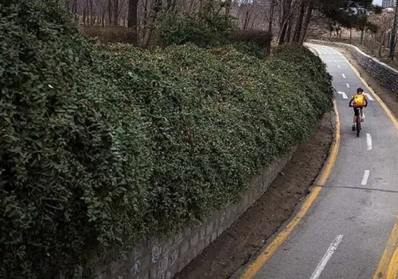 پارک جنگلی چیتگر، پارکی با امکانات متعدد