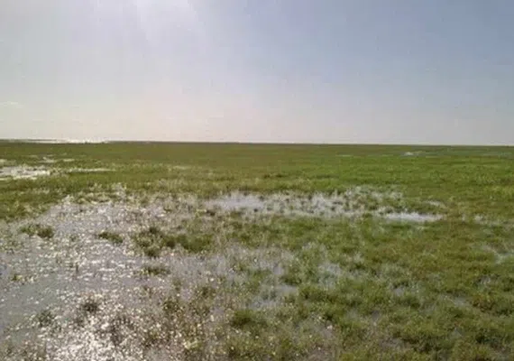 تالاب بین المللی قره قشلاق بناب