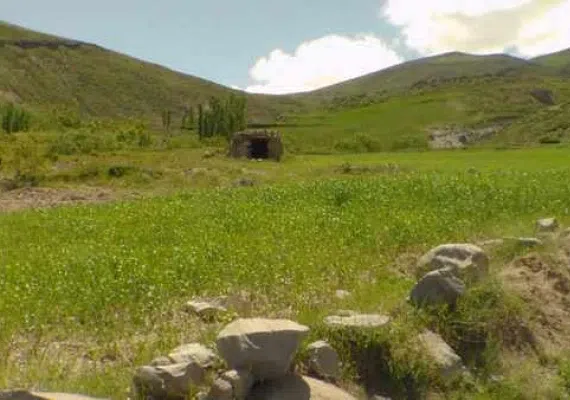 روستای مجارشین، میرزانشین اسکو