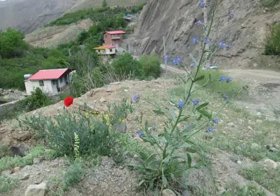 دره کن-سولقان، منطقه ای سرسبز