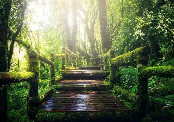 روستای صفرابسته آستانه اشرفیه گیلان