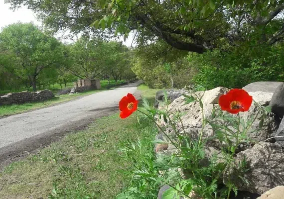 روستای الماس شبستر