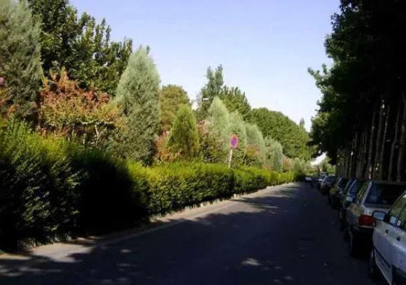 پارک جنگلی پردیسان، پارکی با طبیعتی جذاب