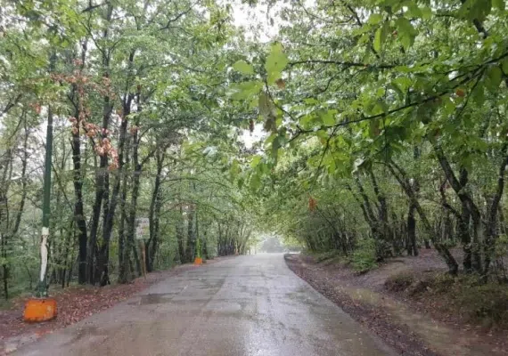 بندر کیاشهر