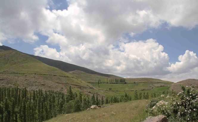 تفرجگاه توران درسی، مهد شقایق های کوهی