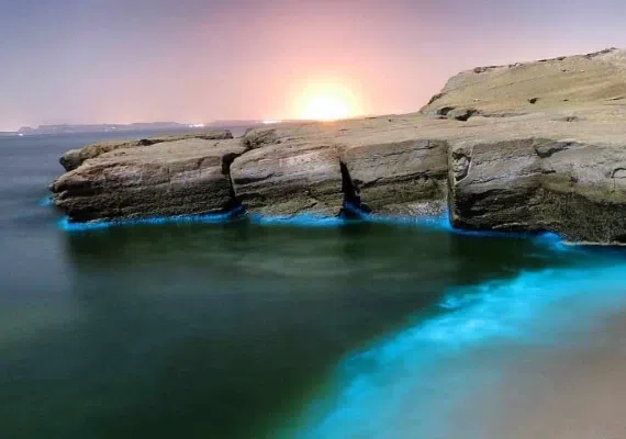 جزیره هنگام، سکونت گاه دلفین ها و ماهی های رنگی آکواریومی