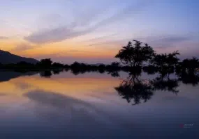 دریاچه کفه خنج، دریاچه ای در همسایگی نخل ها