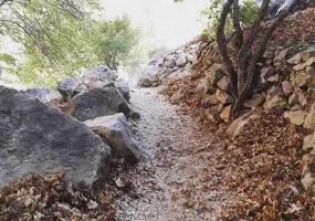 چشمه قهری