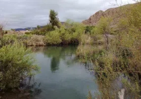 چشمه گلابی