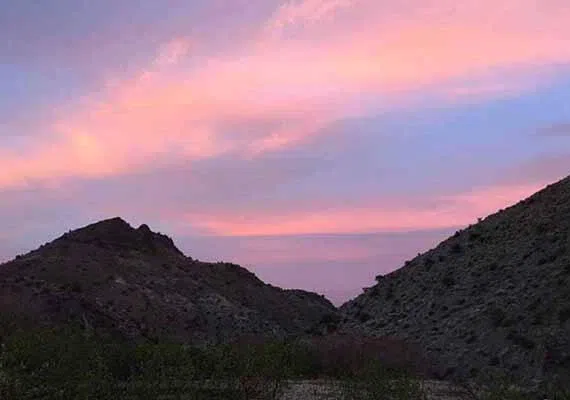 نوفرست