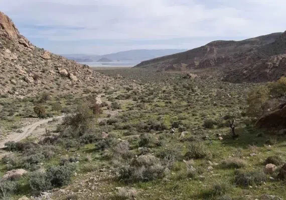 پارک ملی و پناهگاه حیات وحش بختگان
