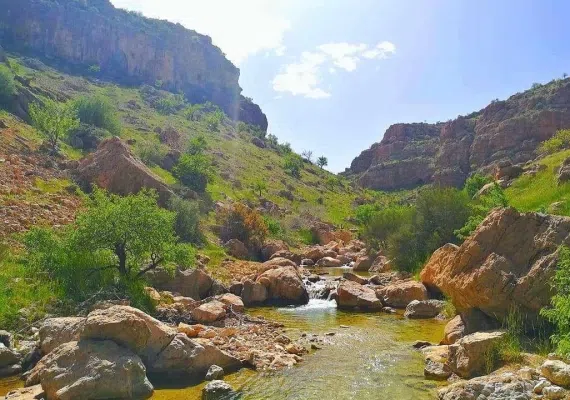 پلنگان نی ریز