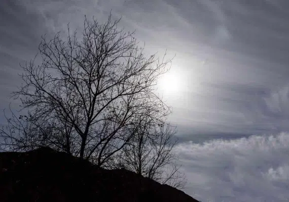 پارک کوهستان یزد