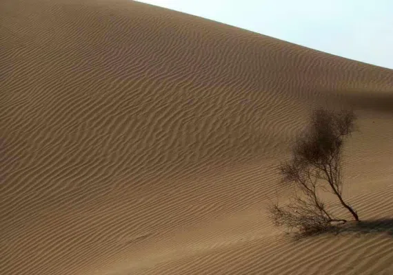 ریگزار و کویر بکر بشرویه