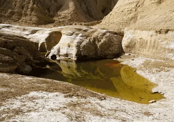 تنگه عالی محمد