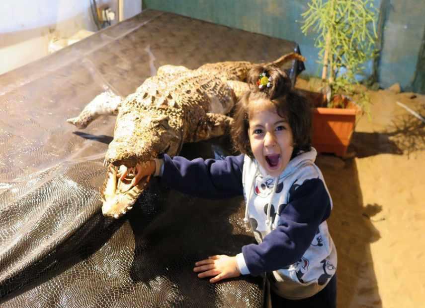 پارک کروکدیل ها