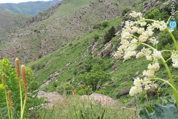دره قاسملو ارومیه کجاست