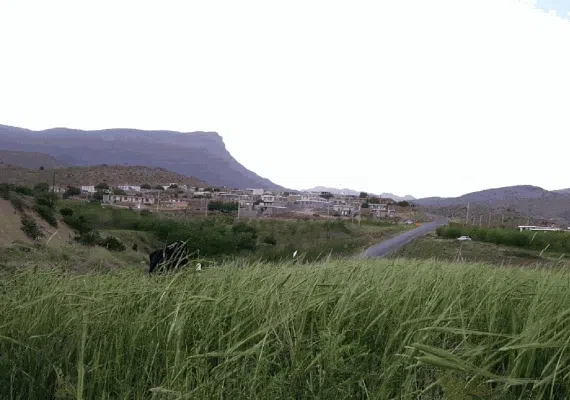 خانه معلم بوشهر (مرکز آموزشی رفاهی فرهنگیان بوشهر)