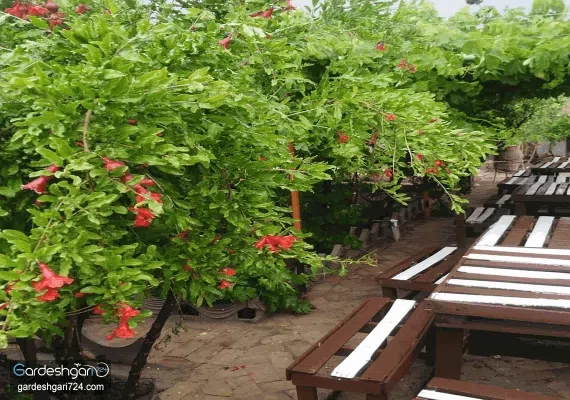 اقامتگاه بوم گردی ثامن