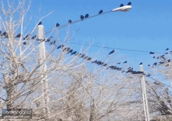 اقامتگاه بوم گردی ثامن