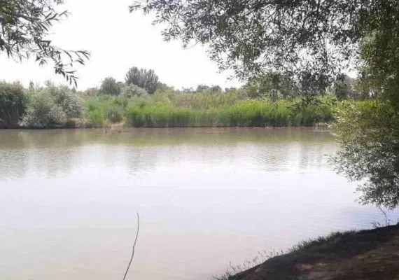 جواهرده میاندوآب