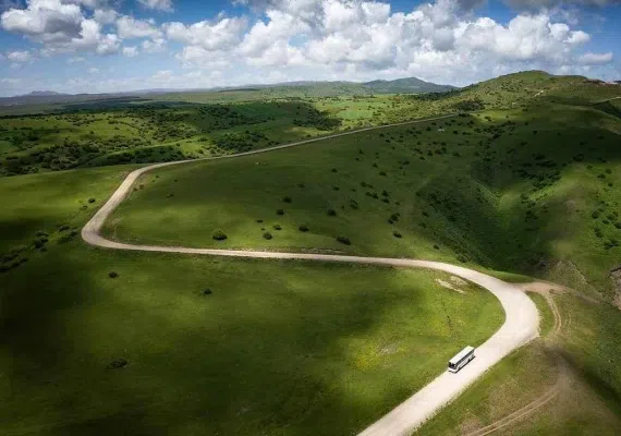 جنگل فندقلو