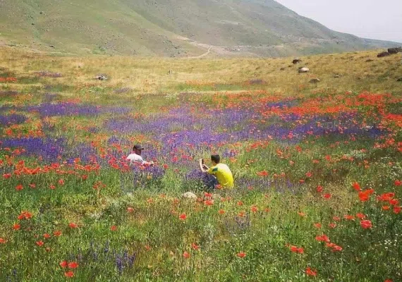آبشار ورگه سران