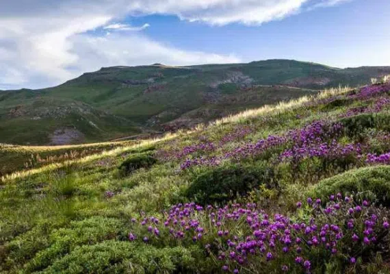 دریاچه نئور اردبیل