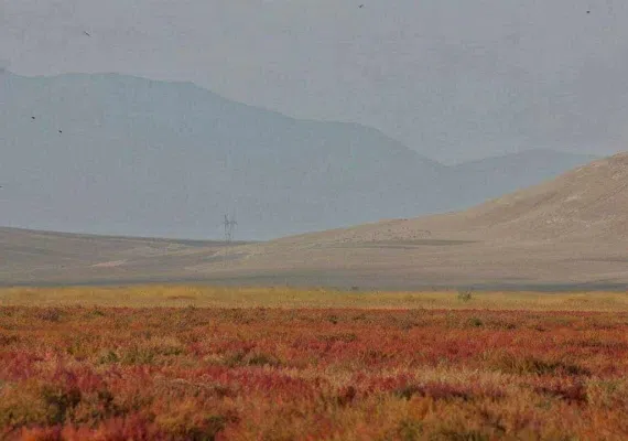 تالاب سولدوز نقده