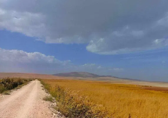 تالاب سولدوز نقده