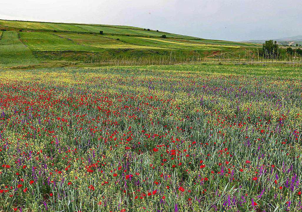 آبشار سردابه