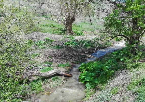 دره بیدسکان فردوس